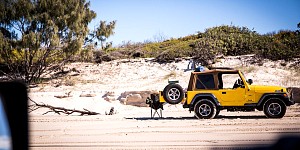 Bribie Island Jeep Meeting July 2015 Location Picture #3117