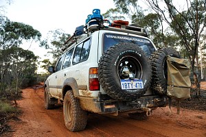 Picture of a Toyota Land Cruiser 80 Wagon 1991